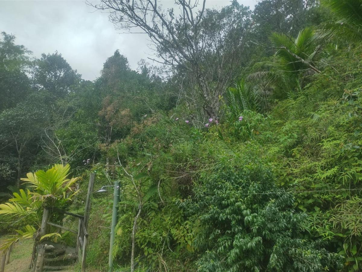 Hotel Ribeira Beach Ubatuba Bagian luar foto
